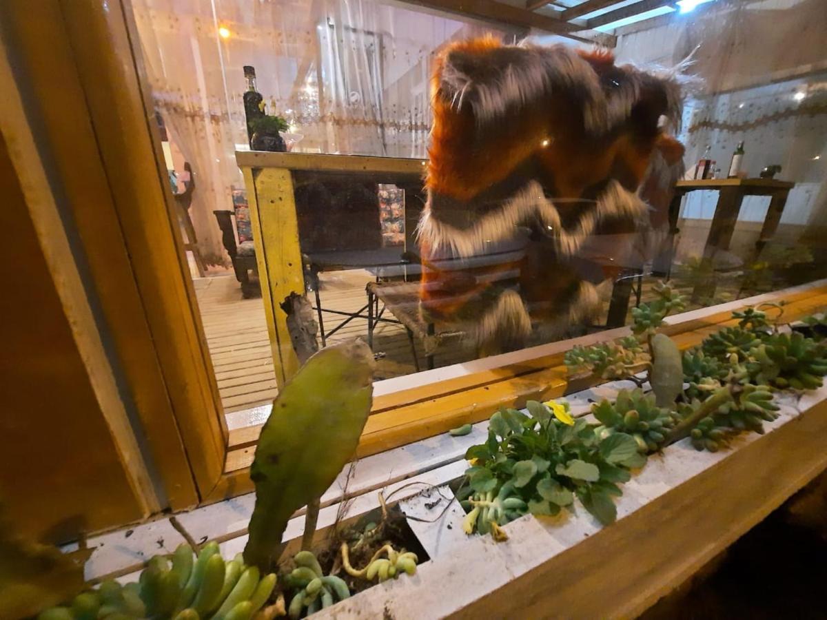 Pousada Vitrine Cambará 外观 照片